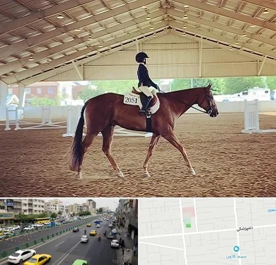 باشگاه سوارکاری در خیابان دامپزشکی