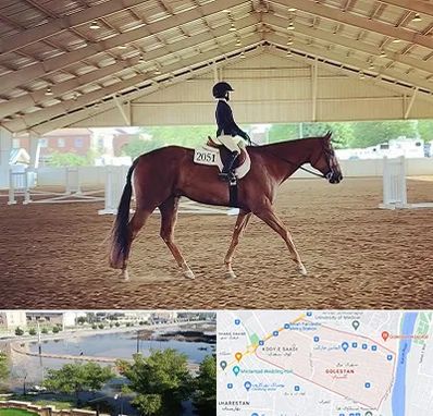 باشگاه سوارکاری در گلستان اهواز