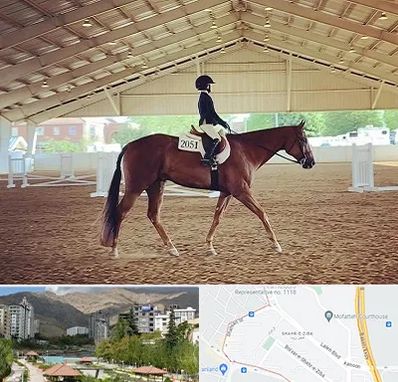 باشگاه سوارکاری در شهر زیبا