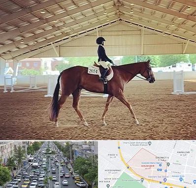 باشگاه سوارکاری در گلشهر کرج