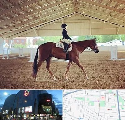 باشگاه سوارکاری در بلوار اباذر