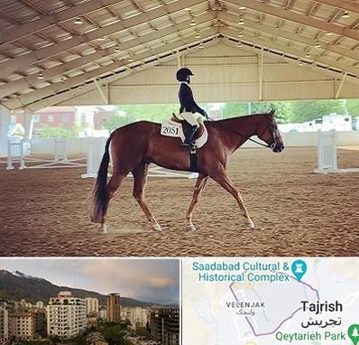 باشگاه سوارکاری در زعفرانیه