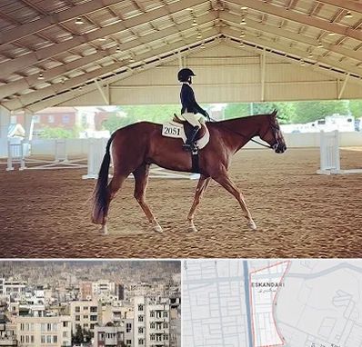 باشگاه سوارکاری در اسکندری