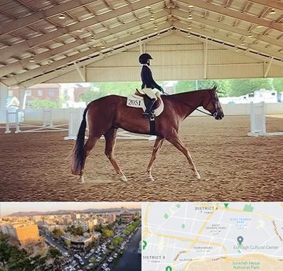 باشگاه سوارکاری در تهرانپارس 