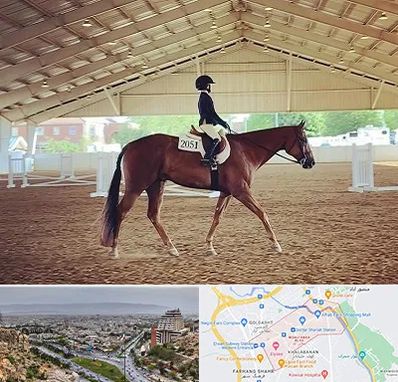 باشگاه سوارکاری در معالی آباد شیراز
