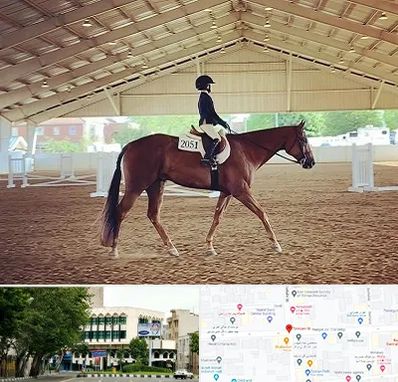 باشگاه سوارکاری در طالقانی