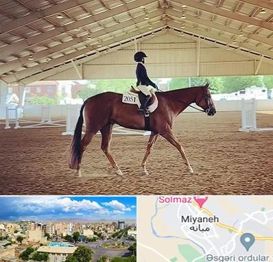 باشگاه سوارکاری در میانه