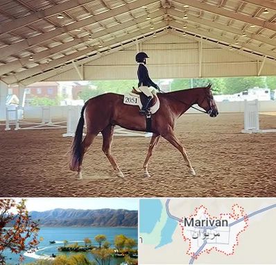 باشگاه سوارکاری در مریوان