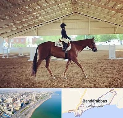 باشگاه سوارکاری در بندرعباس