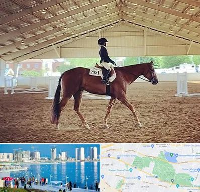 باشگاه سوارکاری در چیتگر 