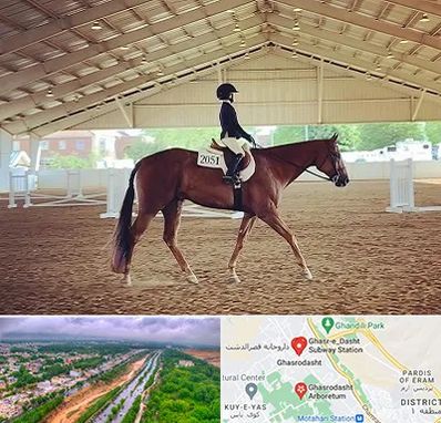 باشگاه سوارکاری در قصرالدشت شیراز