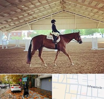 باشگاه سوارکاری در خیابان فلسطین