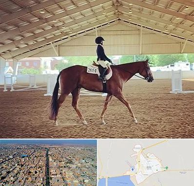 باشگاه سوارکاری در بندر ماهشهر