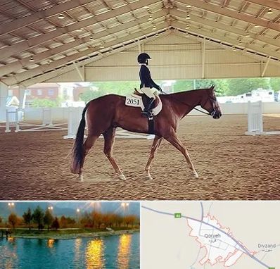 باشگاه سوارکاری در قروه