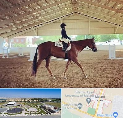 باشگاه سوارکاری در ملارد