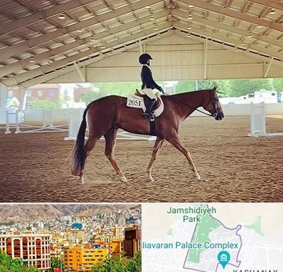 باشگاه سوارکاری در نیاوران 