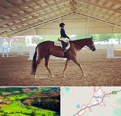 باشگاه سوارکاری در نکا