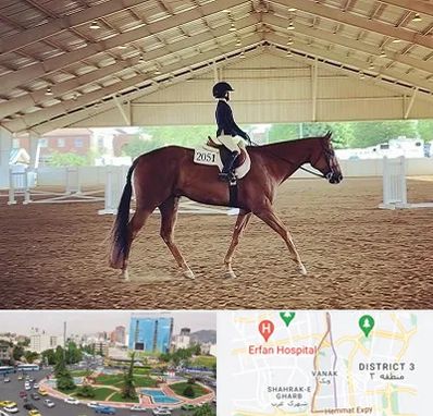 باشگاه سوارکاری در ونک 