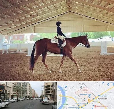 باشگاه سوارکاری در زیتون کارمندی اهواز