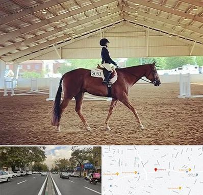 باشگاه سوارکاری در دولت