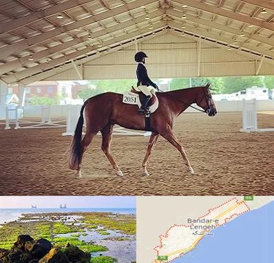 باشگاه سوارکاری در بندرلنگه