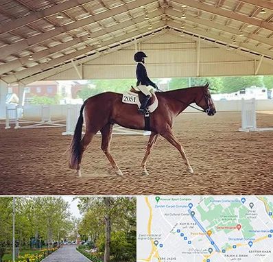 باشگاه سوارکاری در قدوسی غربی شیراز