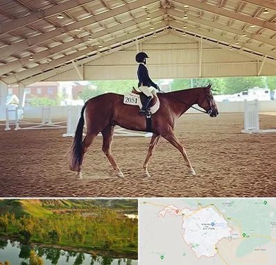 باشگاه سوارکاری در بهبهان