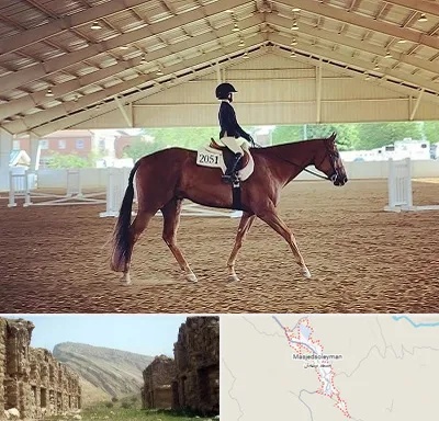 باشگاه سوارکاری در مسجد سلیمان
