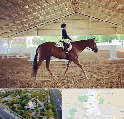 باشگاه سوارکاری در کاشمر