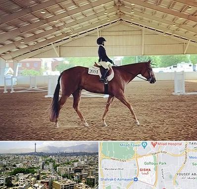 باشگاه سوارکاری در گیشا