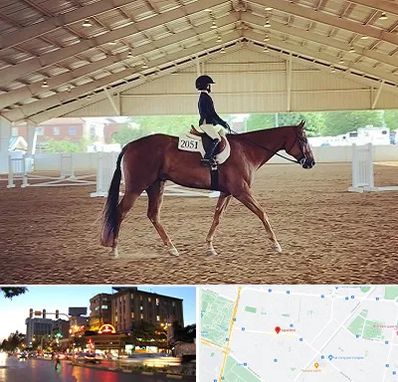 باشگاه سوارکاری در بلوار سجاد مشهد