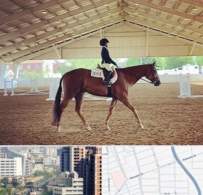 باشگاه سوارکاری در خیابان بهشتی