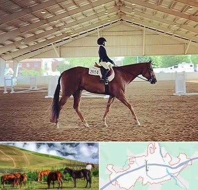 باشگاه سوارکاری در تالش