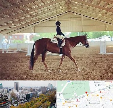 باشگاه سوارکاری در بلوار کشاورز