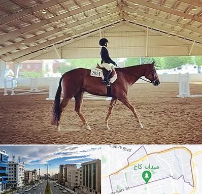 باشگاه سوارکاری در سعادت آباد 