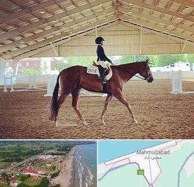 باشگاه سوارکاری در محمودآباد