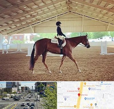 باشگاه سوارکاری در ستاری