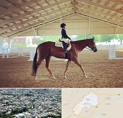 باشگاه سوارکاری در شاهرود