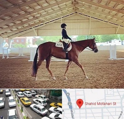 باشگاه سوارکاری در مطهری تهران