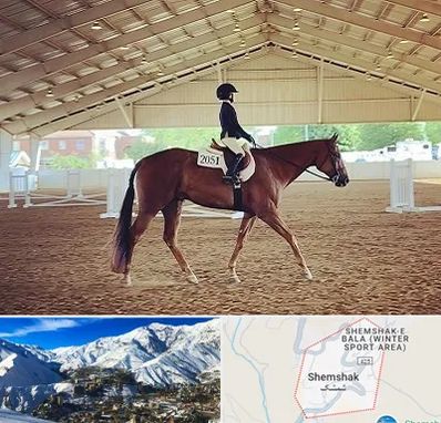 باشگاه سوارکاری در شمشک