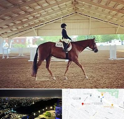 باشگاه سوارکاری در هفت تیر مشهد