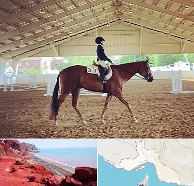باشگاه سوارکاری در هرمزگان