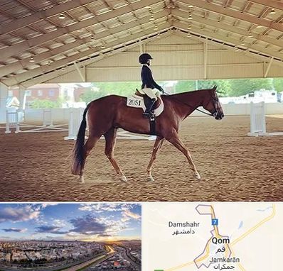 باشگاه سوارکاری در قم