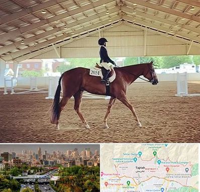 باشگاه سوارکاری در منطقه 1 تهران