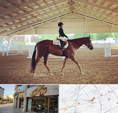 باشگاه سوارکاری در عطاران قم