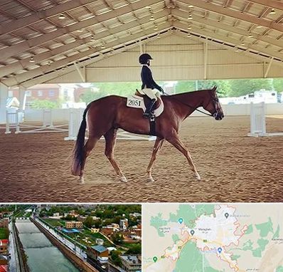 باشگاه سوارکاری در مراغه