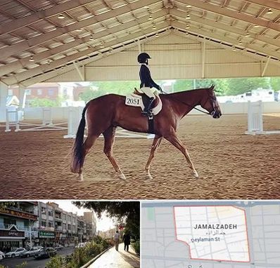 باشگاه سوارکاری در خیابان جمالزاده