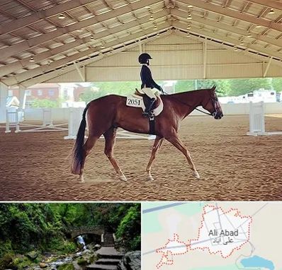 باشگاه سوارکاری در علی‌ آباد کتول