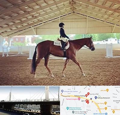 باشگاه سوارکاری در پارک وی