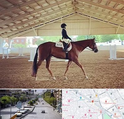 باشگاه سوارکاری در خیابان زند شیراز